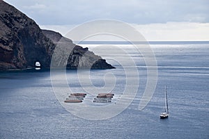 Fisheries along the East coast of Madeira Island