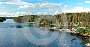 Fisheries, fish farm in summer lake or river in beautiful summer sunny day. Fish farm salmon