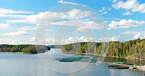 Fisheries, Fish Farm In Summer Lake Or River In Beautiful Summer Sunny Day. Fish Farm Salmon