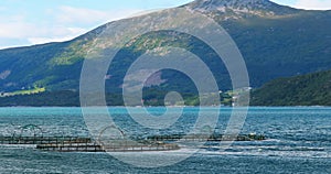 Fisheries, fish farm in summer lake or river in beautiful summer sunny day. fish farm salmon in Norway