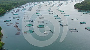 Fisheries on Luzon Island, Philippines. Fish farm, top view.