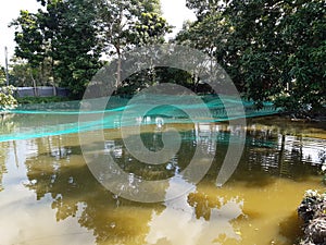 Fisheries pond in old farm house