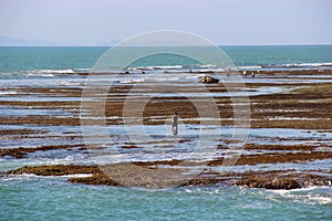 A fisherman in Anyer Beach during daylight