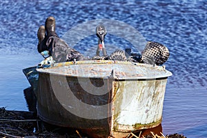 Fisherman asleep in boat on the lake shore