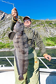 Fisherman with big wolffish near Lofoten, Senija, Alta Norway. Man holding catch Atlantic wolf fish