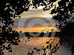 Fisherman on Boat Behind Tree Branches with Leaves at Sunset Over Beautiful Lake with Cloudy Sky in background