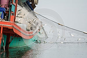 On the fisherman boat, Catching many fish