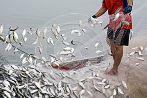 On the fisherman boat, Catching many fish