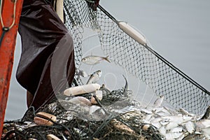 On the fisherman boat, Catching many fish