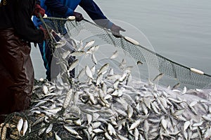 On the fisherman boat, Catching many fish