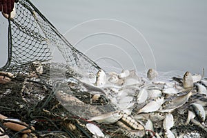 On the fisherman boat, Catching many fish