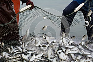 On the fisherman boat, Catching many fish