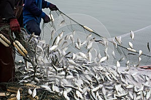 On the fisherman boat, Catching many fish