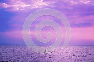 Fisherman with boat and sea with violet color filter effect