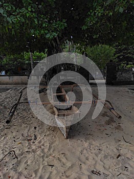 Fisherman boat tied to a tree