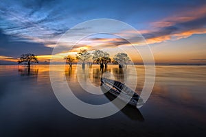 Fisherman boat and trees in the lake with beautiful morning light.