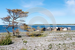 Fisherman cabins in a beautiful spring