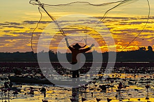 A fisherman casting a net into the water during on sunsrise.Silhouette