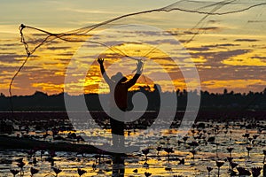 A fisherman casting a net into the water during on sunsrise. Silhouette