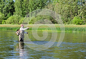 Fisherman catches of chub fly fishing in the Chusovaya river