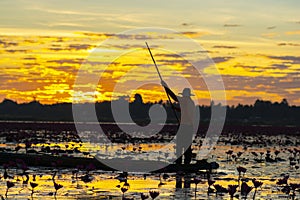 A fisherman catching freshwater fish during on sunsrise. Silhouette