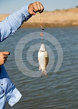 The fisherman caught the fish on a fishing pole