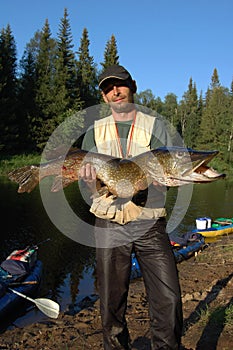 Fisherman caught a huge pike.