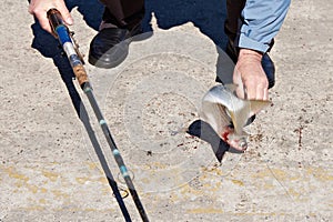 Fisherman caught mullet at sea