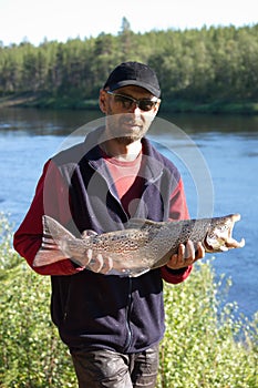 Fisherman caught a nice male salmon.