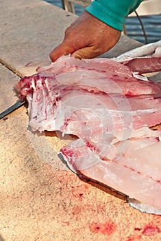 Fisherman cleaning and filleting large permit fish