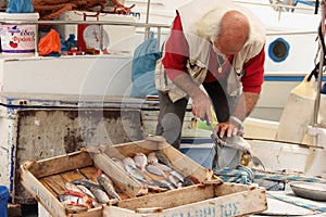 Fisherman Cleaning Fish