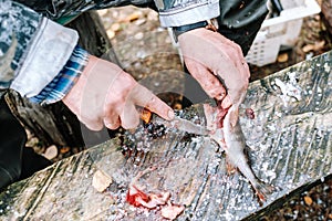 Fisherman cleaning fish on wooden board outdoors