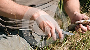 Fisherman cleans the fish on the grass use a knife. Hands close-up.