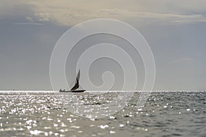 Fisherman dhow boat during sunset on Indian ocean in island Zanzibar, Tanzania, East Africa