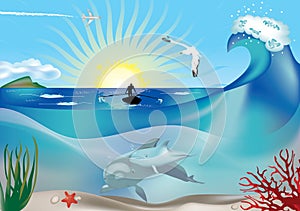 Fisherman and dolphins underwater