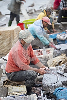 Fisherman filleting fish with knife, Essaouira, Morocco