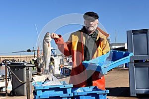 A fisherman with a fish box inside a fishing boat