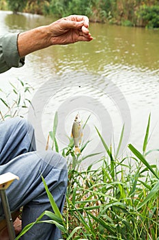 Fisherman fished out small redeye fish photo