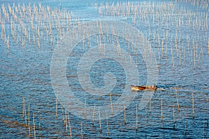 A fisherman going through the coastal intertidal zone of Xiapu