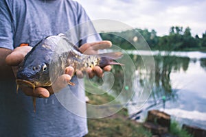 The fisherman is holding a catch - a large carp.