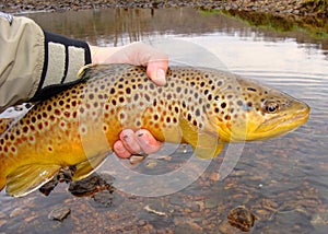 Fisherman holding fish