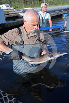 Fisherman holding a fish