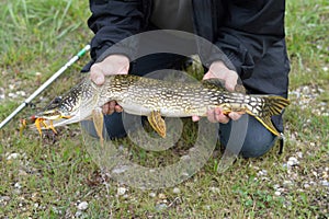 Fisherman holding the pike