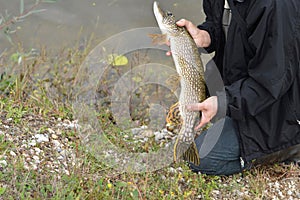 Fisherman holding the pike