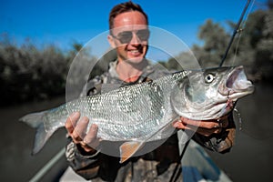 Fisherman holds the Asp fish