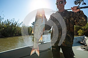 Fisherman holds the Asp fish