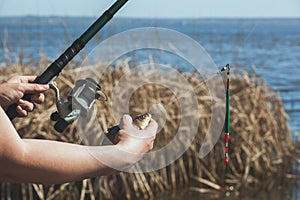 The fisherman holds in his hands caught fish and a rod with a reel against the background of the river