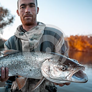 Fisherman holds the trophy Asp fish