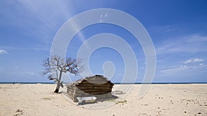Fisherman house on the beach at Kokkilai, Sri Lanka