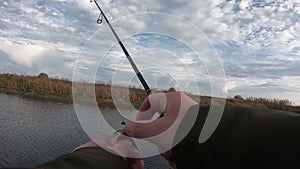 A fisherman with a perch caught on a fishing rod pulls out a hook from the mouth of a fish